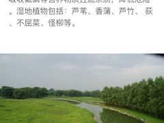 -北京麋鹿生态实验中心