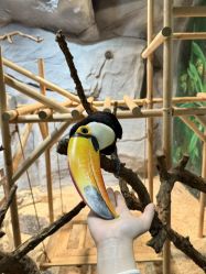 -Zoolung Zoolung动物主题公园(海信广场店)