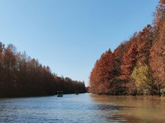 -上海海湾国家森林公园