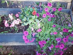 -人民防洪胜利纪念塔