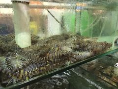 -四海鲜渔家菜(黄金海岸店)