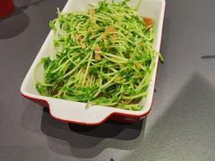 白灼豆苗-火宫殿·湘菜小吃·商务宴请·生日聚会(市府店)