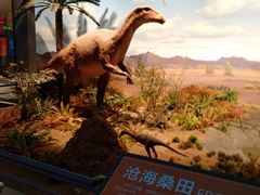 -贝林大翅鲸简餐厅(国家海洋博物馆店)