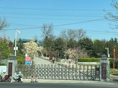 -云岗森林公园