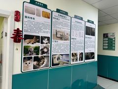 -乖乖宠物医院·猫科·急重症中心(车站北路分院)