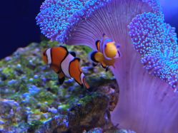 -Zoolung Zoolung动物主题公园(海信广场店)