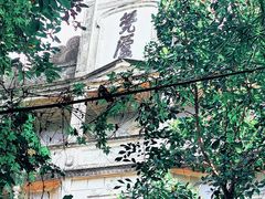 -开平碉楼文化旅游区马降龙景区