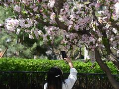 -元大都城垣遗址公园