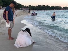 -查汶海滩