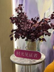 -澳玛·星光医疗美容