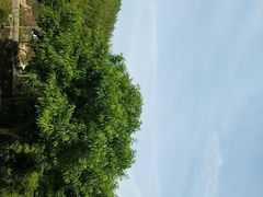-小格里自然风景区