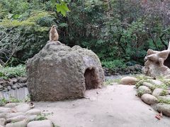 -上海野生动物园