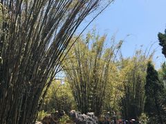 -孔雀湖生态旅游区