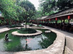 -杨家寨