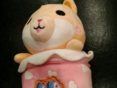 战利品-Play1家庭娱乐中心(包河大玩家店)
