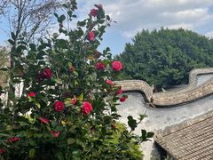 -乌山风景区