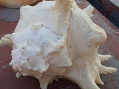 20121025_121825-老味道民宿(栈桥店)