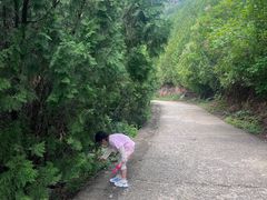 -府君山公园
