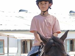 -北京群众马术培训基地