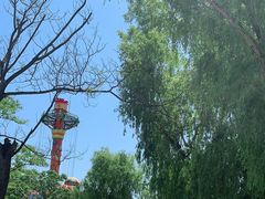 -朝阳公园游乐园