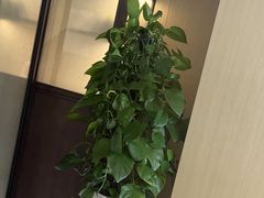 -名岛家宴(龙塔店)