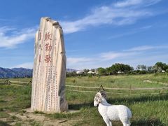 -敕勒川草原文化旅游区