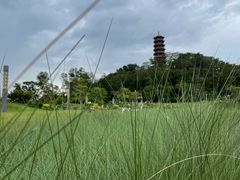 -红花山公园