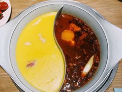 -青瓷火锅料理(西单大悦城店)