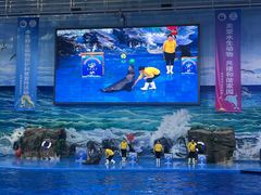 -多彩贵州城极地海洋世界