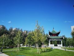 -东北农业大学