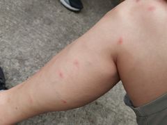 -如家旗下-成都蜀汉东路一品天下地铁站睿柏·云酒店