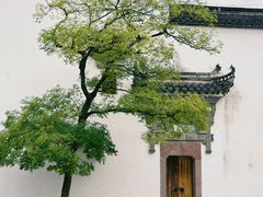 -广富林郊野公园