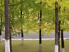 -重庆中央公园(渝北区)