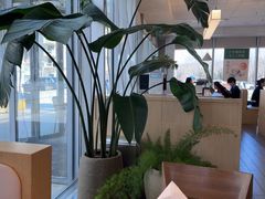 -阿那亚第三食堂 Cafeteria 3