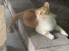 -龙华寺