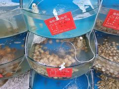 -晓伟海鲜家常菜