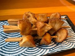 杏鲍菇-庆春朴门