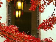 -惠山古镇·寄畅园