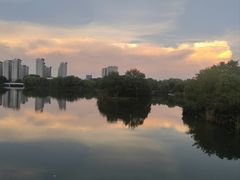 -九里河湿地公园