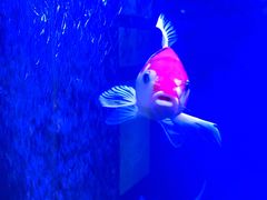 -优品汇生活广场