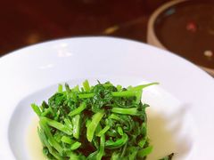 清炒豆苗-新天世纪中餐厅