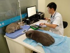 -美迦爱-牙专科·兔科·骨科诊疗中心(北苑店)