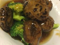 -翠华餐厅(旺角文华商场店)