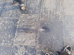 -赵州桥景区