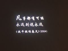 -星河寰宇IMAX影城(星河WORLD·COCO Park店)