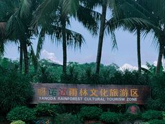 -呀诺达热带雨林