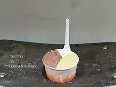 -Dip in Gelato(富民路店)