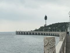 -雨花胜境