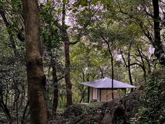 -中国茶叶博物馆(双峰馆区)