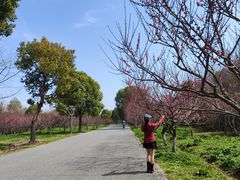 -上海海湾国家森林公园